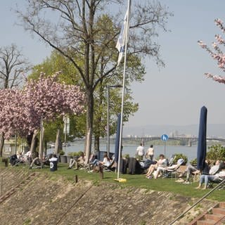 Ufer in Mainz