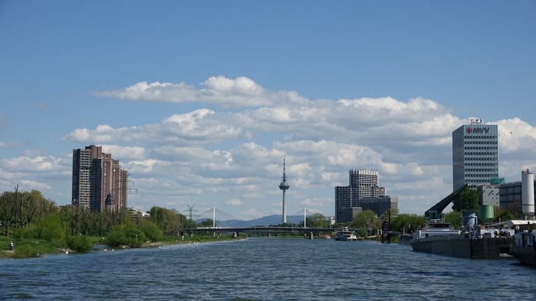 Panorama Bild Mannheim mit Neckar, Fernmeldeturm und Neckaruferbebauung