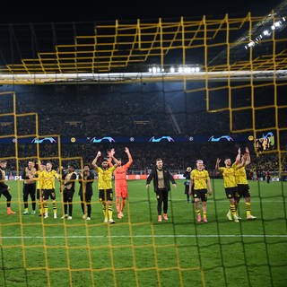 Die Spieler von Borussia Dortmund lassen sich nach dem Sieg gegen Atletico Madrid von den Fans feiern. (Foto: dpa Bildfunk, picture alliance/dpa | Bernd Thissen)