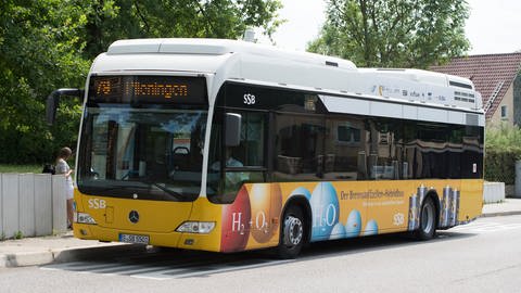 Bus Verkehr Schule flexible Unterrichtszeiten Entlastung Busunternehmen Staffelung Schulzeiten