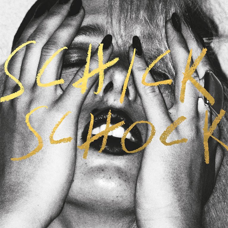 Bilderbuch Schick Schock Cover (Foto: Maschin Records)