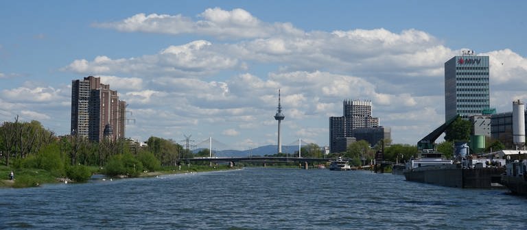 Panorama Bild Mannheim mit Neckar, Fernmeldeturm und Neckaruferbebauung (Foto: SWR DASDING)