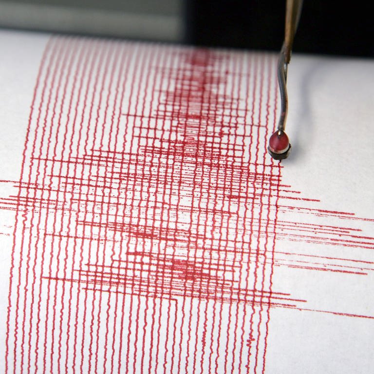 Das Seismogramm zeigt die Ausschläge eines leichten Erdbebens (Foto: dpa Bildfunk, picture alliance / dpa | Federico Gambarini)
