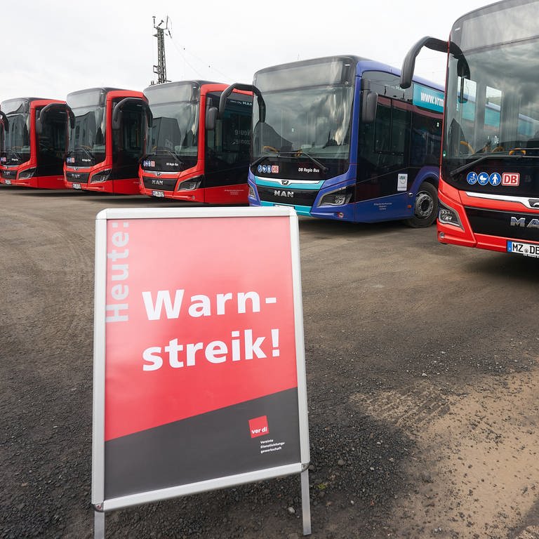 Linienbusse stehen auf dem Betriebshof von DB-Regio. (Foto: dpa Bildfunk, picture alliance/dpa | Thomas Frey)