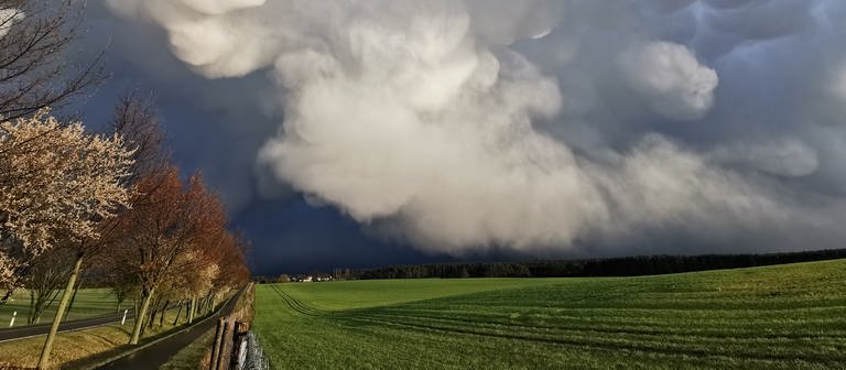 Spektakuläre Wolkenbilder bei einem Gewitter bei Müllrose. Die Wolkenformationen heißen Mammatuswolken. (Foto: dpa Bildfunk, dpa-Bildfunk)