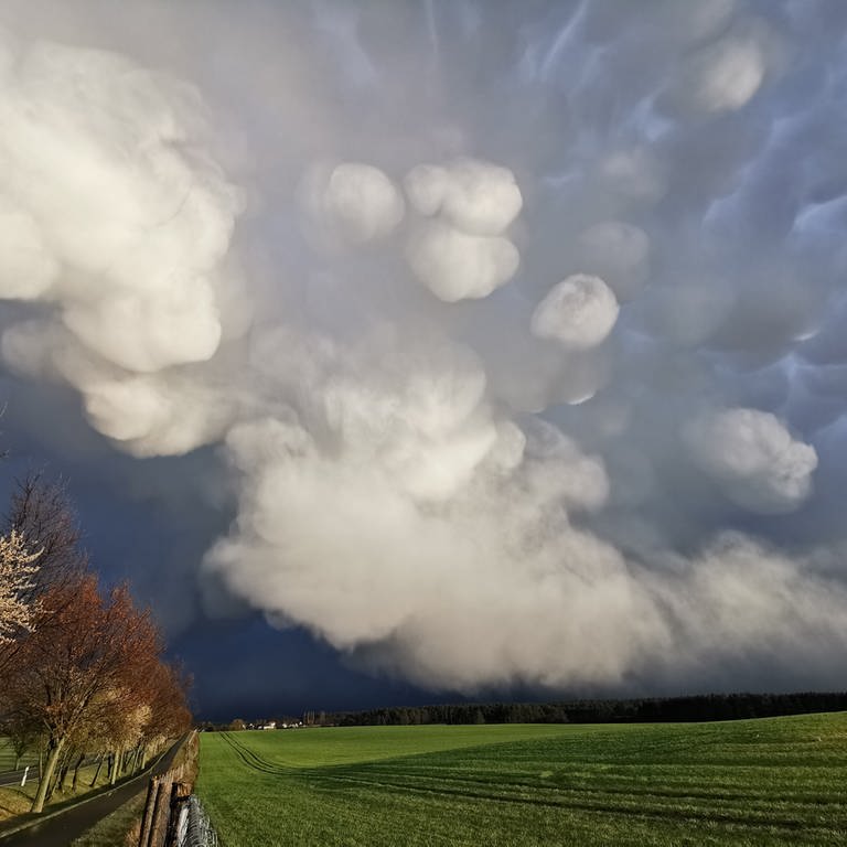 Spektakuläre Wolkenbilder bei einem Gewitter bei Müllrose. Die Wolkenformationen heißen Mammatuswolken. (Foto: dpa Bildfunk, dpa-Bildfunk)