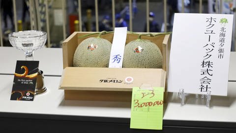 Ein Paar Yubari-Melonen erzielt bei der ersten Auktion des Jahres für das charakteristische Produkt der Hokkaido-Stadt Yubari einen Preis von 3 Millionen Yen (etwa 22 000 Euro). (Foto: dpa Bildfunk, picture alliance/dpa/kyodo | --)