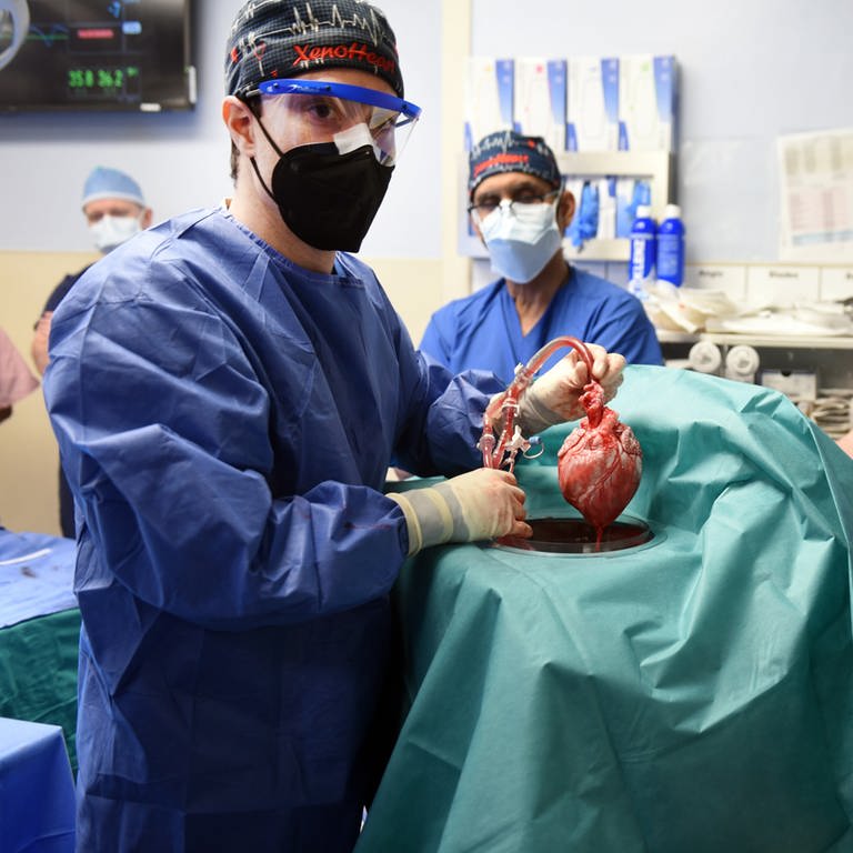 Schweineherz in Mensch implantiert (Foto: SWR DASDING, picture alliance/dpa/University of Maryland School of Medicine | Tom Jemski)