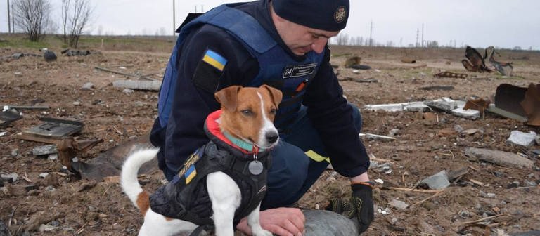 Der Minensuchhund "Patron" steht auf einer Granate in einem Feld in der Ukraine, neben ihm kniet ein ukrainischer Soldat.  (Foto: IMAGO, IMAGO / Cover-Images)