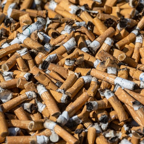 Zahlreiche Zigarettenkippen liegen in einem Sammelbehälter. (Foto: dpa Bildfunk, picture alliance/dpa | Armin Weigel)