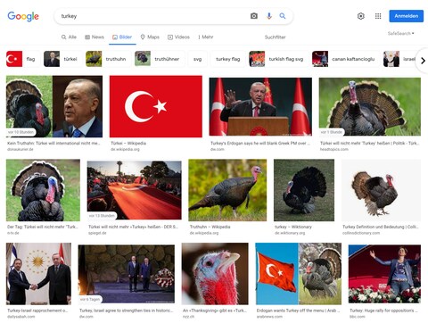 Das Google-Bilder-Ergebnis von "turkey". (Foto: Screenshot Google)