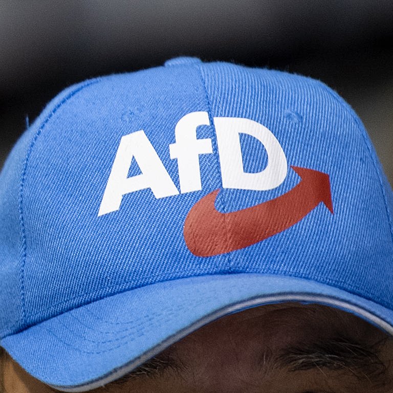 AfD-Mütze (Foto: dpa Bildfunk, picture alliance/dpa/dpa-Zentralbild | Monika Skolimowska)