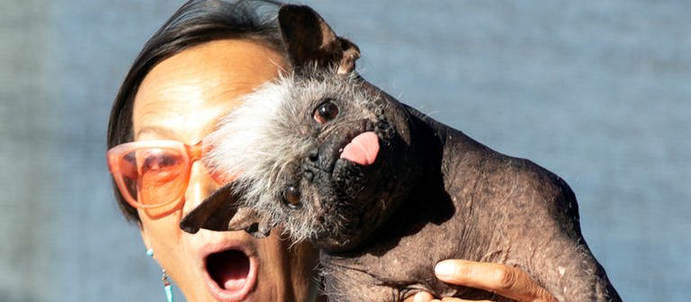 Jeneda Benally aus Flagstaff, Arizona, posiert für ein Foto mit ihrem Hund Mr. Happy Face, dem Gewinner des Wettbewerbs World's Ugliest Dog 2022 in Petaluma, Kalifornien. (Foto: dpa Bildfunk, picture alliance/dpa/AP | D. Ross Cameron)