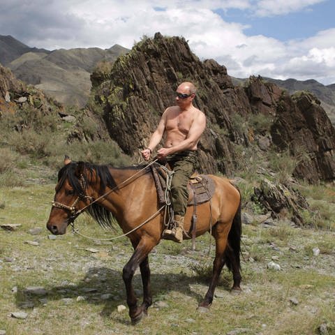 Der russische Präsident Wladimir Putin reitet oberkörperfrei ein Pferd während dem Urlaub in Russland. (Foto: IMAGO, IMAGO / ZUMA Press)