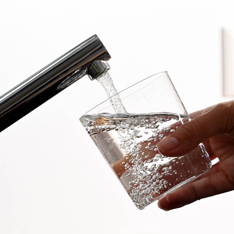 Eine Hand hält ein Wasserglas unter einen Wasserhahn (Foto: dpa Bildfunk, picture alliance/dpa | Bernd Weißbrod)