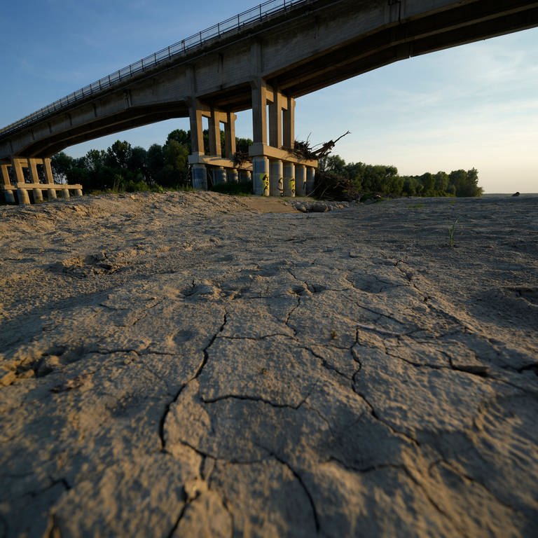 Flussbett ausgetrocknet (Foto: dpa Bildfunk, picture alliance/dpa/AP | Luca Bruno)