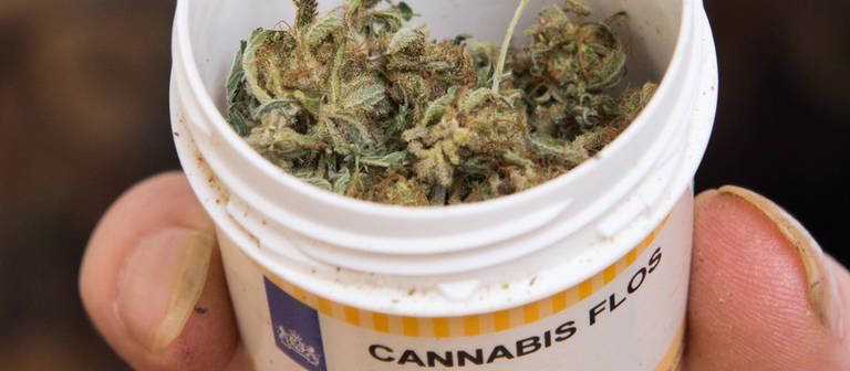 Wäre die Cannabis-Legalisierung illegal? - NEWSZONE