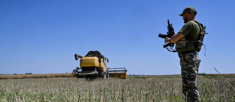 Ein Soldat steht während der Erntezeit auf einem Feld. (Foto: dpa Bildfunk, picture alliance/dpa/Ukrinform | -)