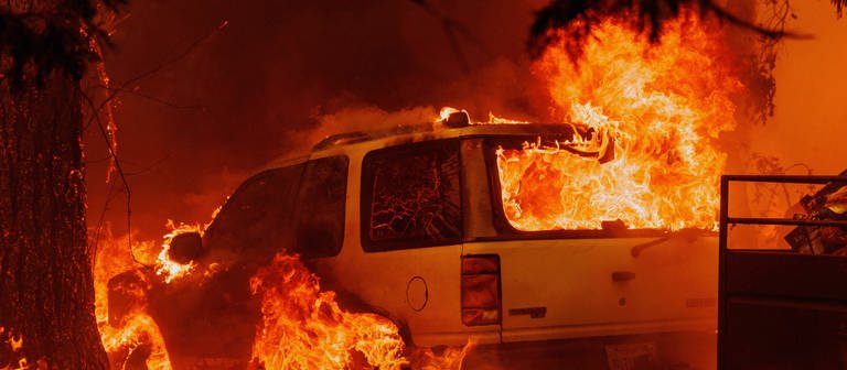 Neben einem brennenden Baum steht ein Auto komplett in Flammen. (Foto: dpa Bildfunk, picture alliance/dpa/San Francisco Chronicle | Ethan Swope)