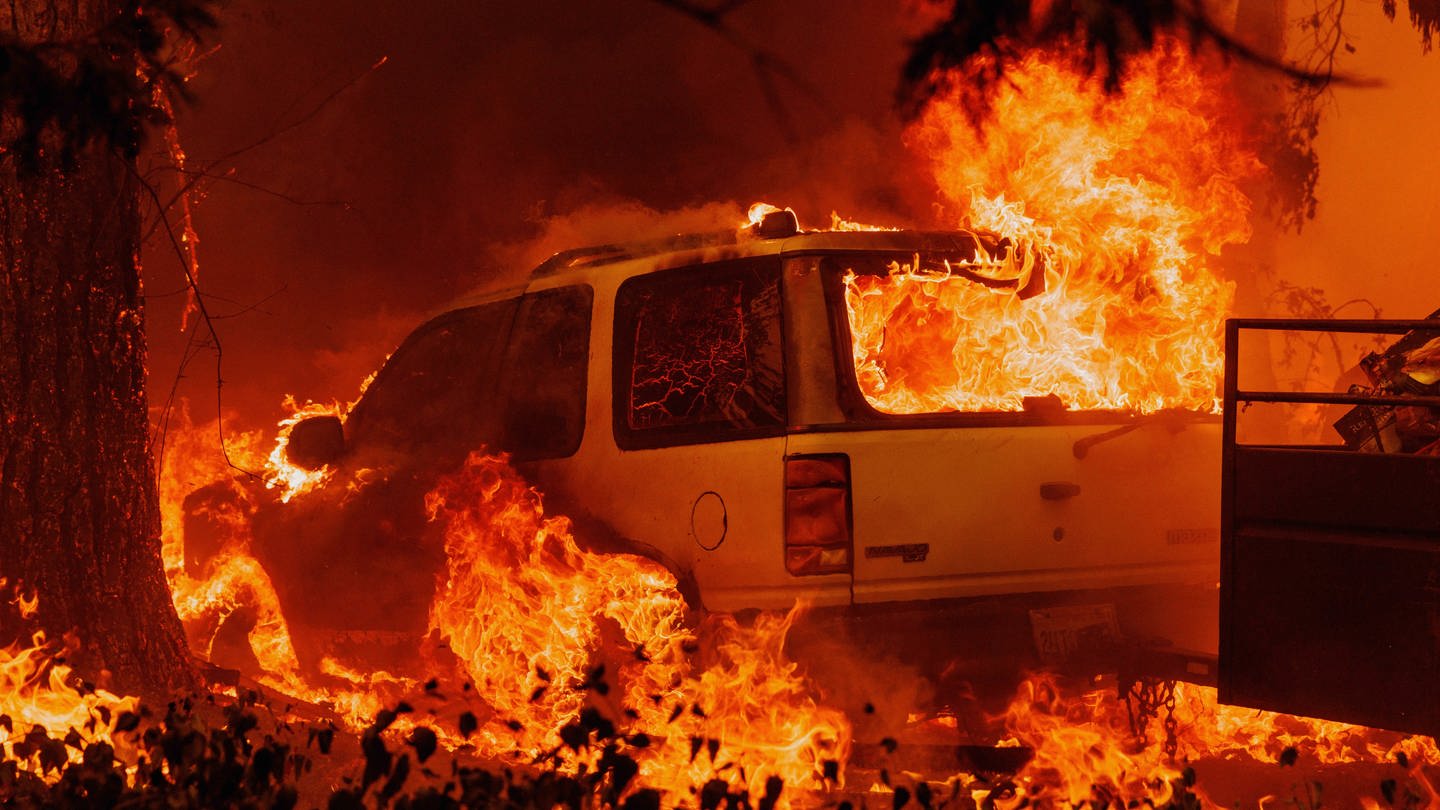 Neben einem brennenden Baum steht ein Auto komplett in Flammen.