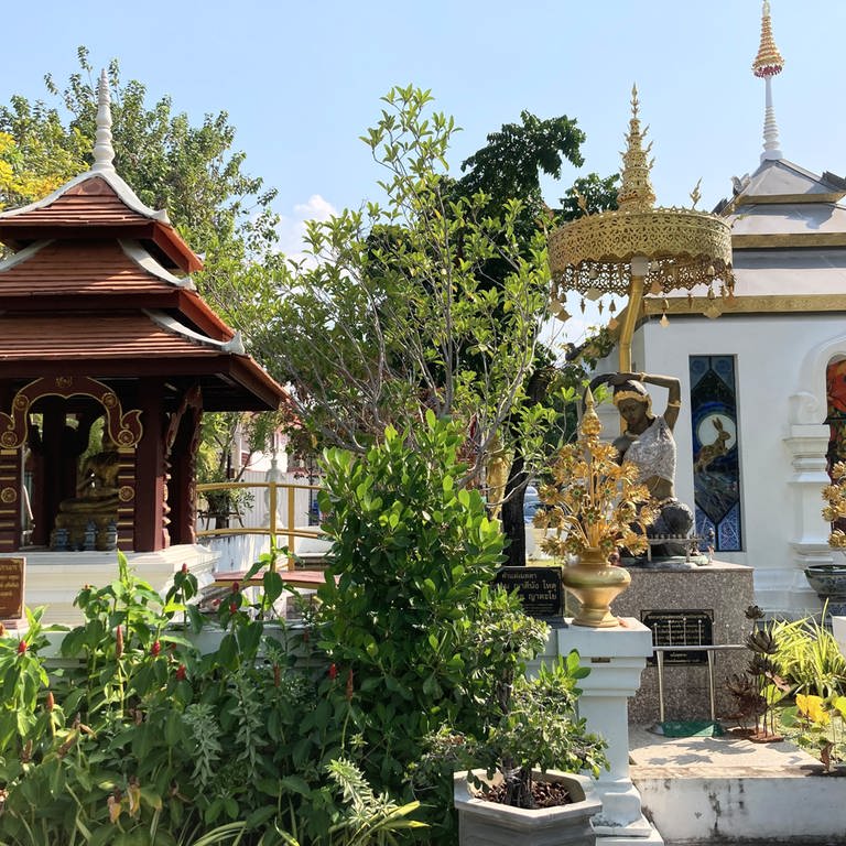 Garten in Chiang Mai (Foto: dpa Bildfunk, picture alliance/dpa | Carola Frentzen)