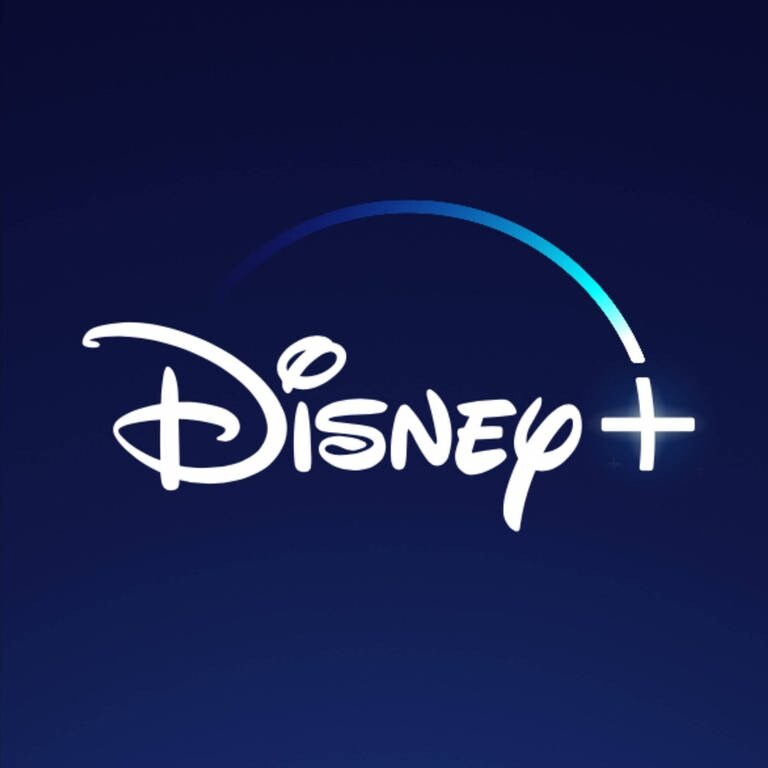 Die Streamingdienste Disney+ und Netflix. (Foto: IMAGO, IMAGO / ZUMA Wire)