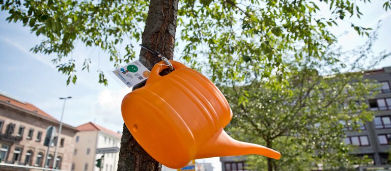 Eine orangene Gießkanne hängt in der Innenstadt von Nürnberg an einem Baum. Eine private Initiative hat zahlreiche Gießkannen in der Innenstadt verteilt, um den Bürgern zu ermöglichen die Bäume vor der eigenen Haustür mit Wasser versorgen zu können. (Foto: picture-alliance / Reportdienste, picture alliance/dpa | Daniel Karmann)