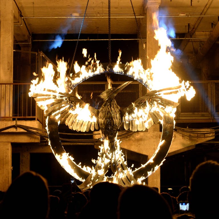 Das Symbol "Mockingjay" brennt bei Filmpremiere (Foto: picture-alliance / Reportdienste, picture alliance / dpa / Britta Pedersen)