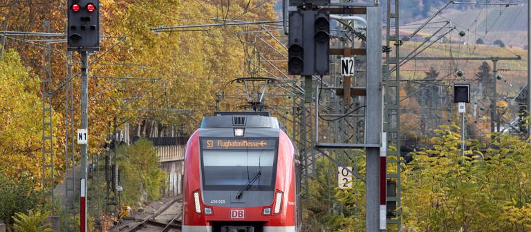 Ein S-Bahn-Zug der Baureihe 430 fährt auf ein zur Gegenseite rot zeigendes Signal zu. (Foto: IMAGO, IMAGO / Arnulf Hettrich)