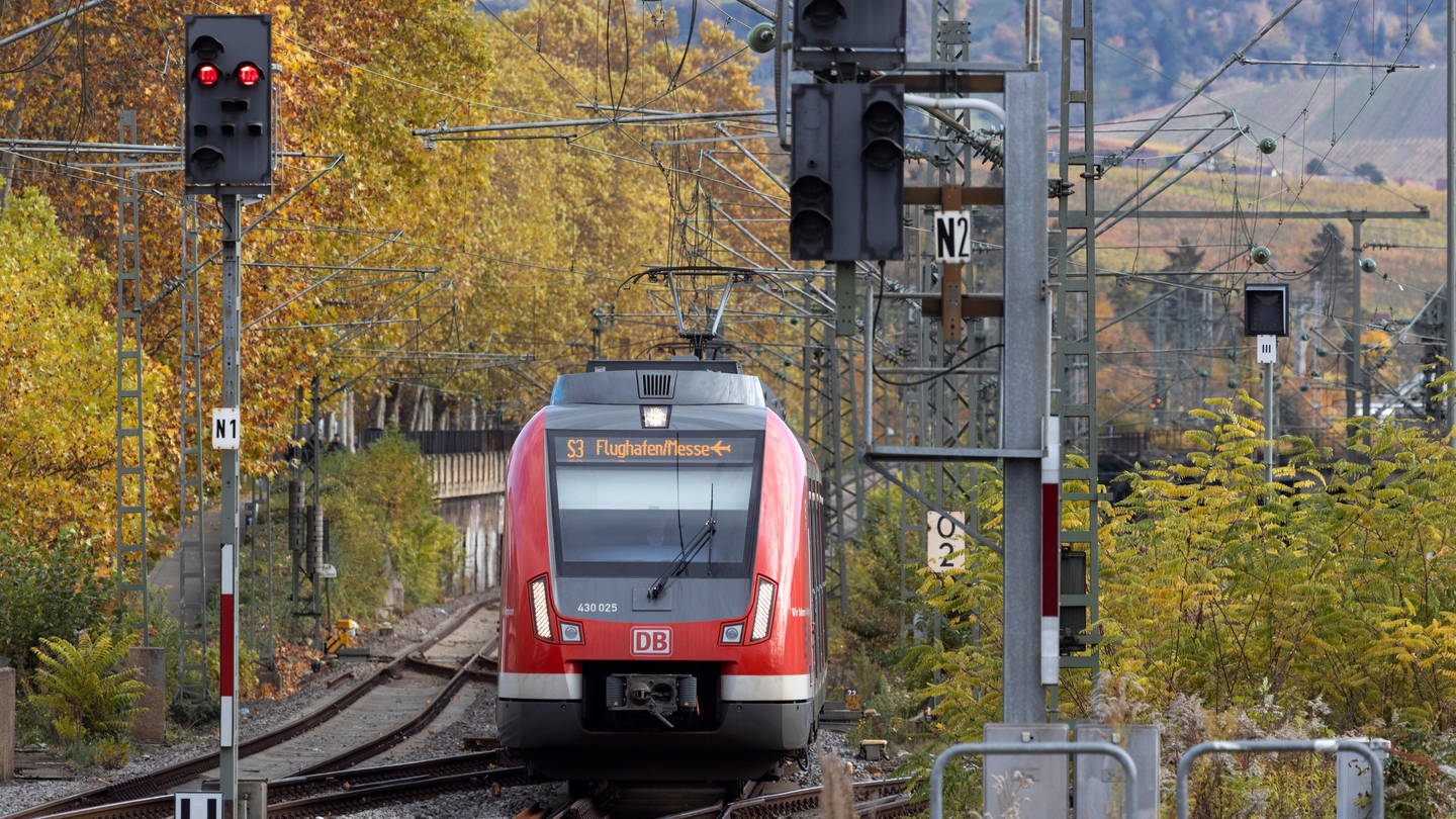 Ein S-Bahn-Zug der Baureihe 430 fährt auf ein zur Gegenseite rot zeigendes Signal zu.