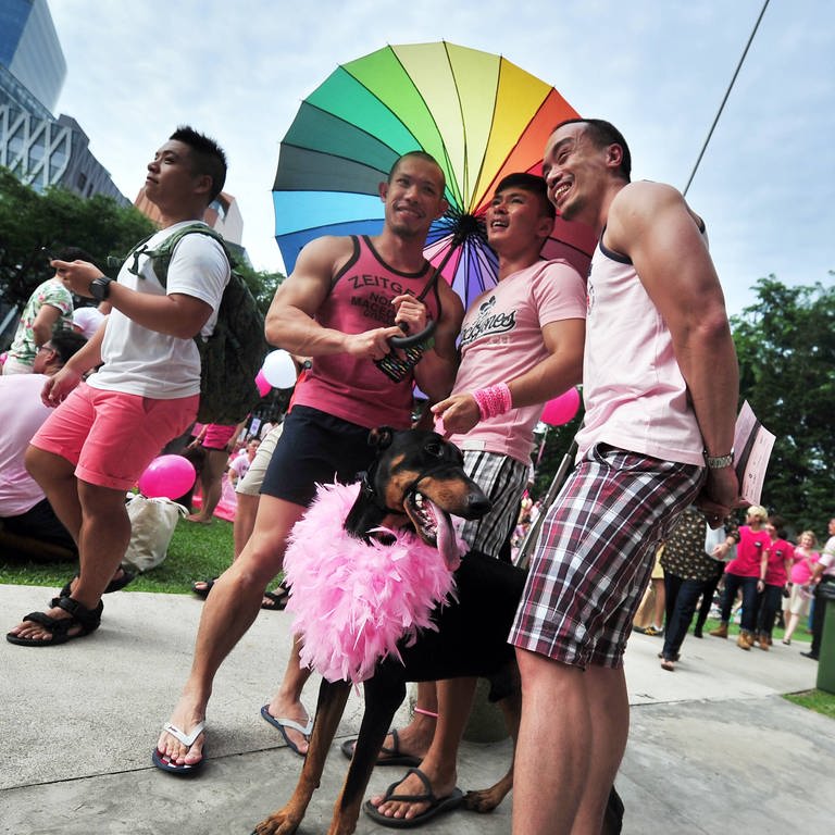 People dressed in pink attend the Pink Dot held in Singapore s Hong Lim Park on June 28, 2014. (Foto: IMAGO, IMAGO / Xinhua)