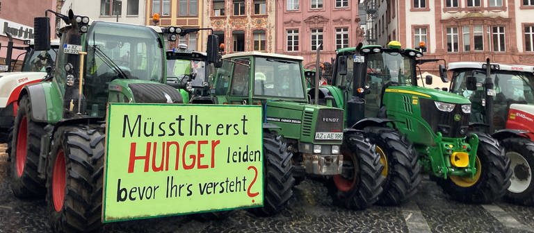Rheinhessische Bauern haben am Mittwoch auf dem Markt vor dem Mainzer Dom gegen die EU-Verordnung zu Insekten- und Pflanzenschutz demonstriert.  (Foto: dpa Bildfunk, picture alliance/dpa | Ira Schaible)