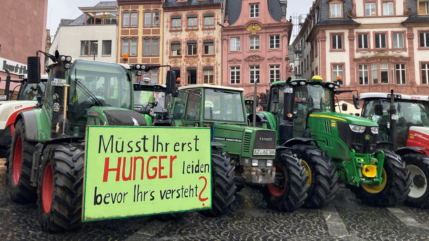 Rheinhessische Bauern haben am Mittwoch auf dem Markt vor dem Mainzer Dom gegen die EU-Verordnung zu Insekten- und Pflanzenschutz demonstriert.