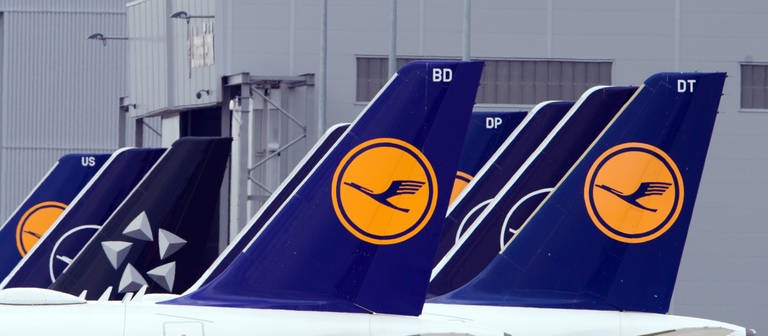 Lufthansa Logo auf Flugzeugen am Boden (Foto: picture-alliance / Reportdienste, picture alliance/dpa/dpa-Zentralbild | Soeren Stache)