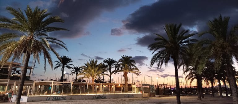 Sonnenuntergang auf Mallorca (Foto: IMAGO, IMAGO / IPA Photo)