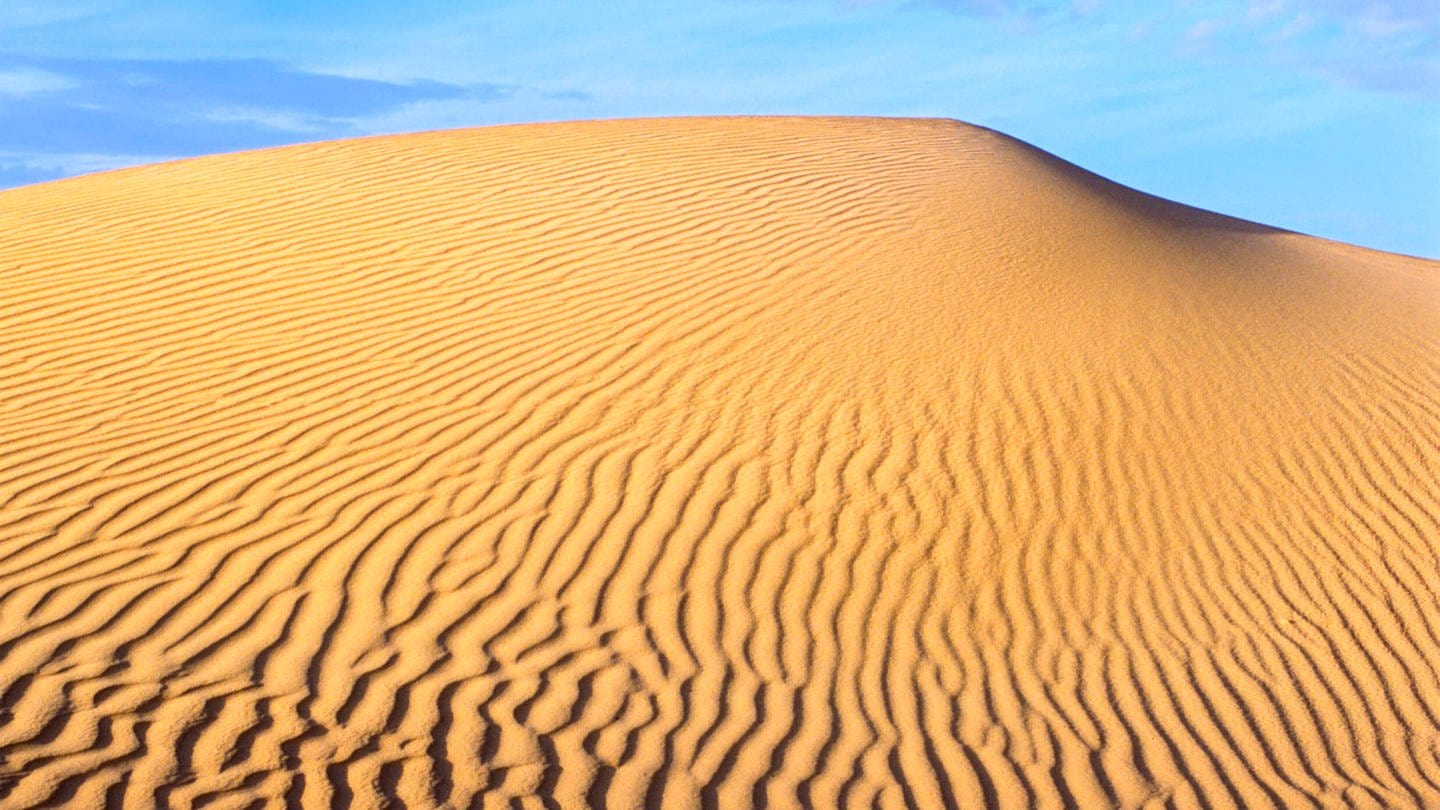 Sahara (Foto: IMAGO, IMAGO / Design Pics)