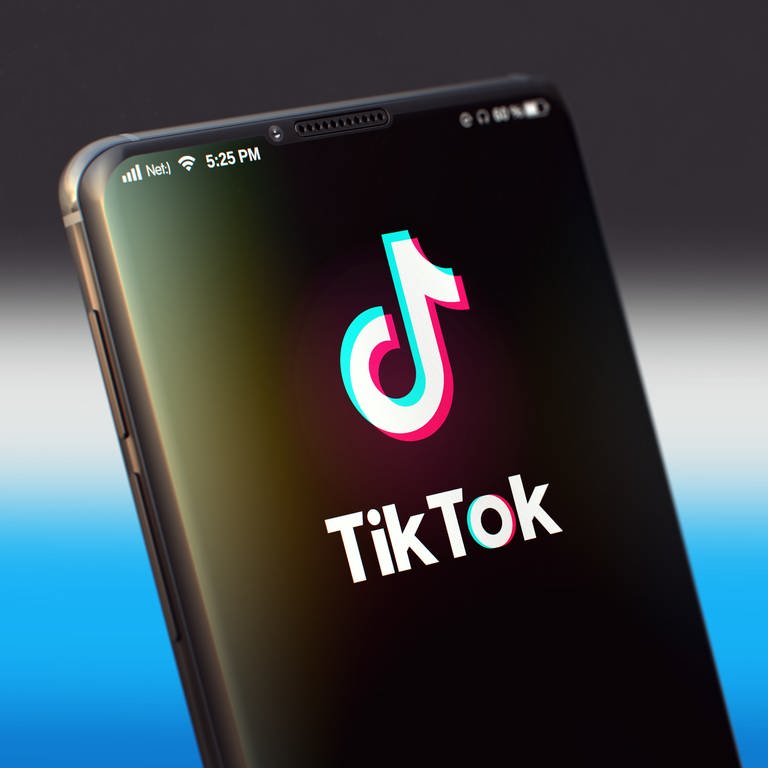 TikTok-Logo auf einem Smartphone. (Foto: IMAGO, Panthermedia / tashatuvango)