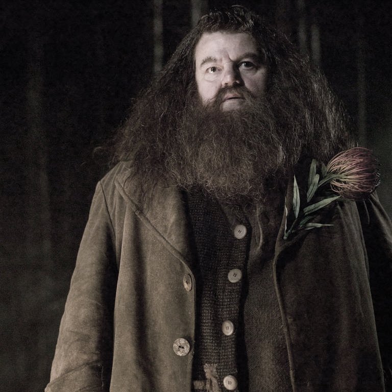 Hagrid aus Harry Potter (Foto: IMAGO, IMAGO / Ronald Grant)