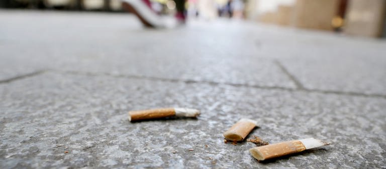 Weggeworfene Zigarettenstummel  (Foto: dpa Bildfunk, picture alliance/dpa | Martin Gerten)