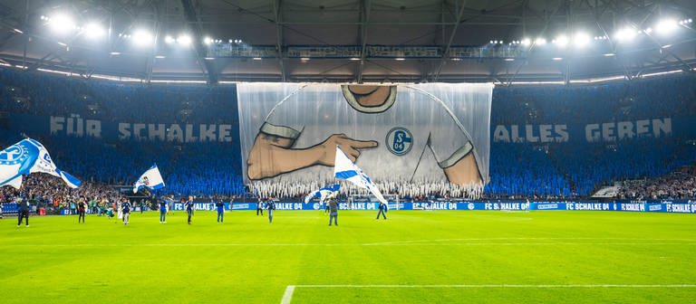 Schalke gegen Freiburg (Foto: dpa Bildfunk, picture alliance/dpa | David Inderlied)