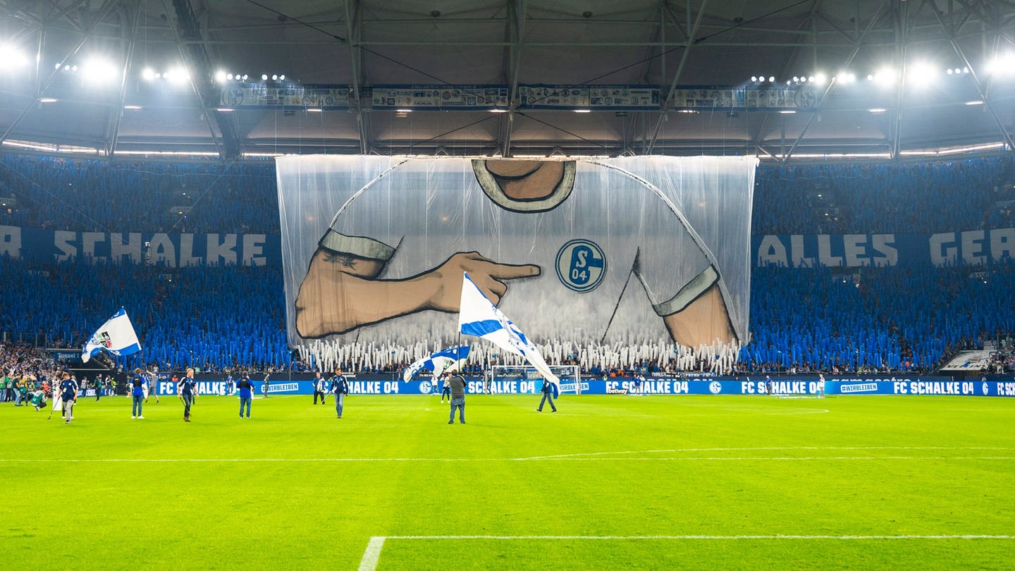 Schalke gegen Freiburg