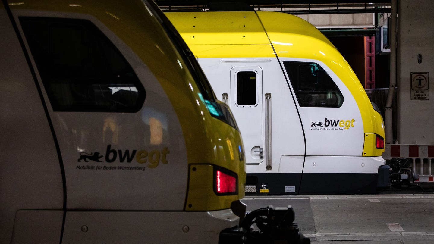 Zwei Regionalzüge stehen am Stuttgarter Hauptbahnhof (Foto: dpa Bildfunk, picture alliance/dpa | Christoph Schmidt)