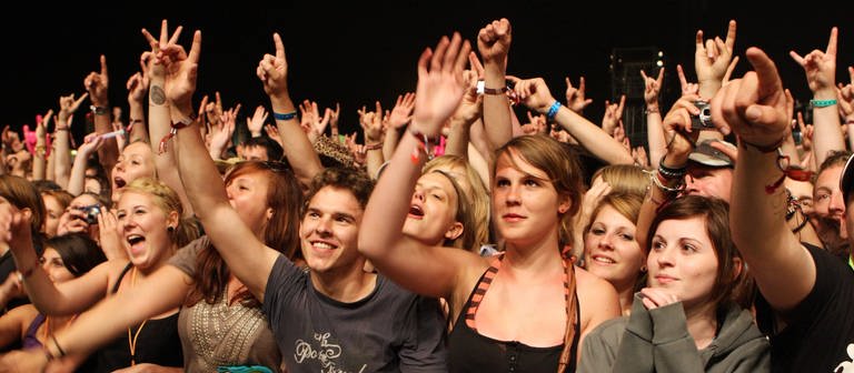 Publikum auf Festival (Foto: IMAGO, POP-EYE)
