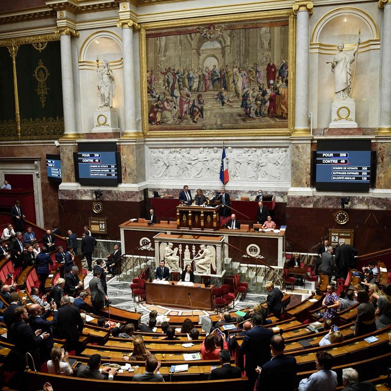 In der Nationalversammlung in Frankreich hat es einen rassistischen Zwischenruf gegeben.  (Foto: dpa Bildfunk, picture alliance/dpa/AFP | Julien De Rosa)