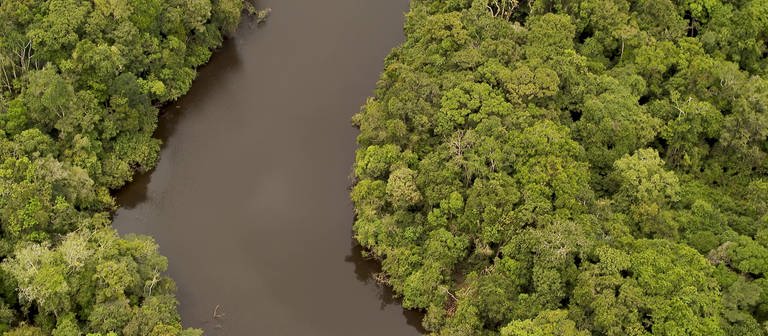 Der Rio Javari ist ein Nebenfluss des Amazonas in Peru. (Foto: IMAGO, IMAGO / Nature Picture Library)