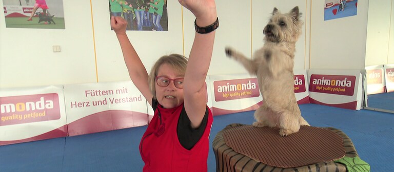 Hunde tanzt mit einer Frau beim Dogdance (Foto: SWR)