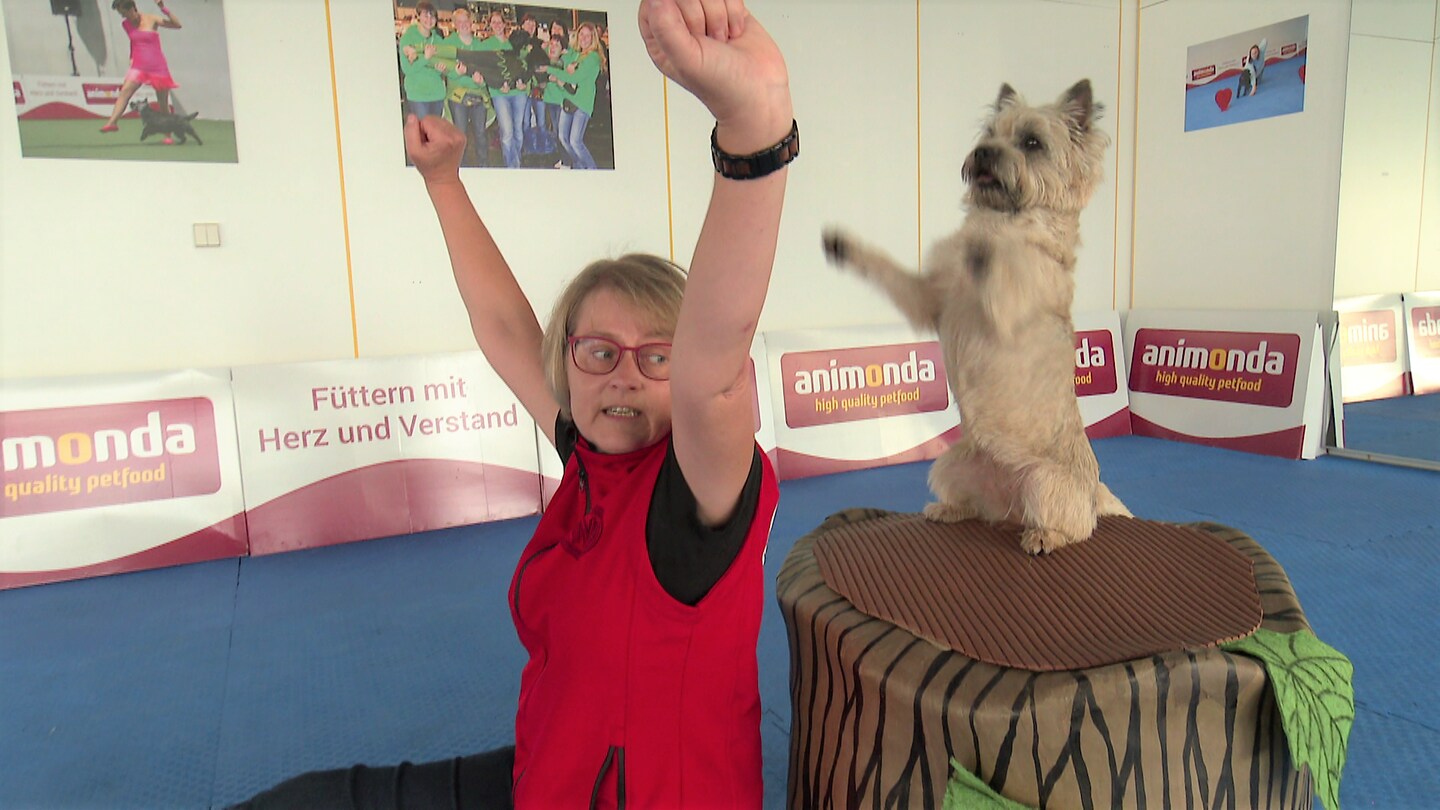 Hunde tanzt mit einer Frau beim Dogdance