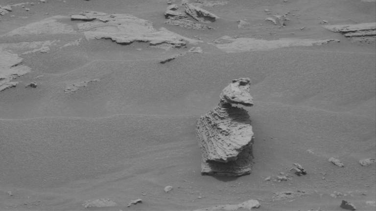 Ein Stein auf dem Mars, der aussieht wie eine Ente.