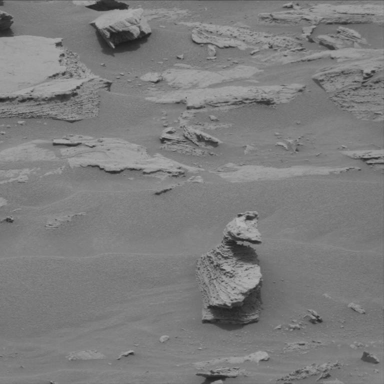 Ein Stein auf dem Mars, der aussieht wie eine Ente. (Foto: NASA/JPL-Caltech/MSSS)
