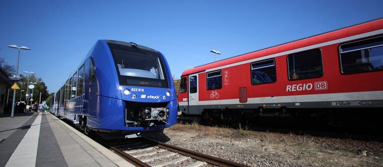 Ein blauer Vlexx-Zug steht an einem Bahnsteig, daneben eine rote Regionalbahn. (Foto: dpa Bildfunk, picture alliance / dpa | Fredrik von Erichsen)